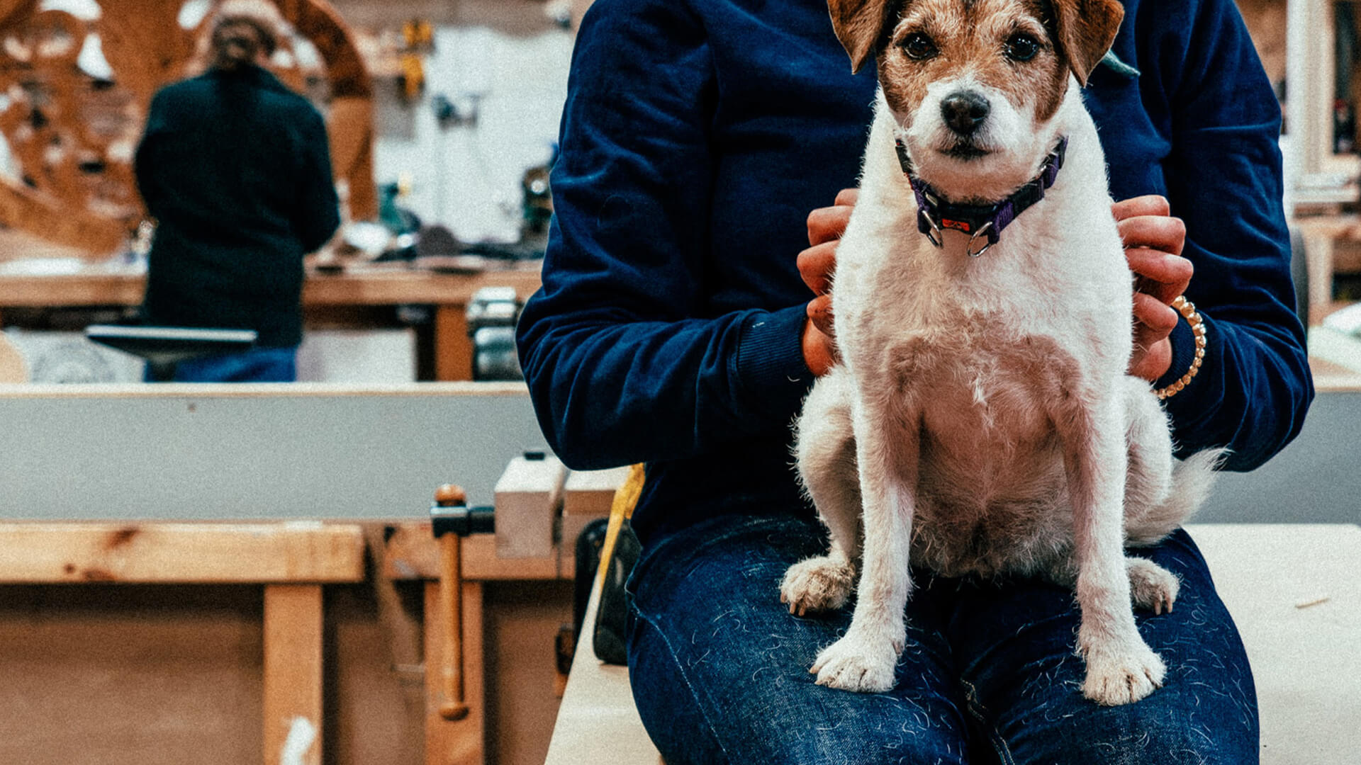 Edinburgh Open Workshop's resident dog - Peppa sits on persons knee